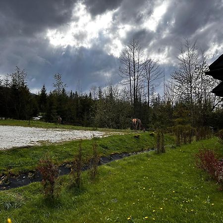 Apartamenty Willa Nika Zakopane Eksteriør billede