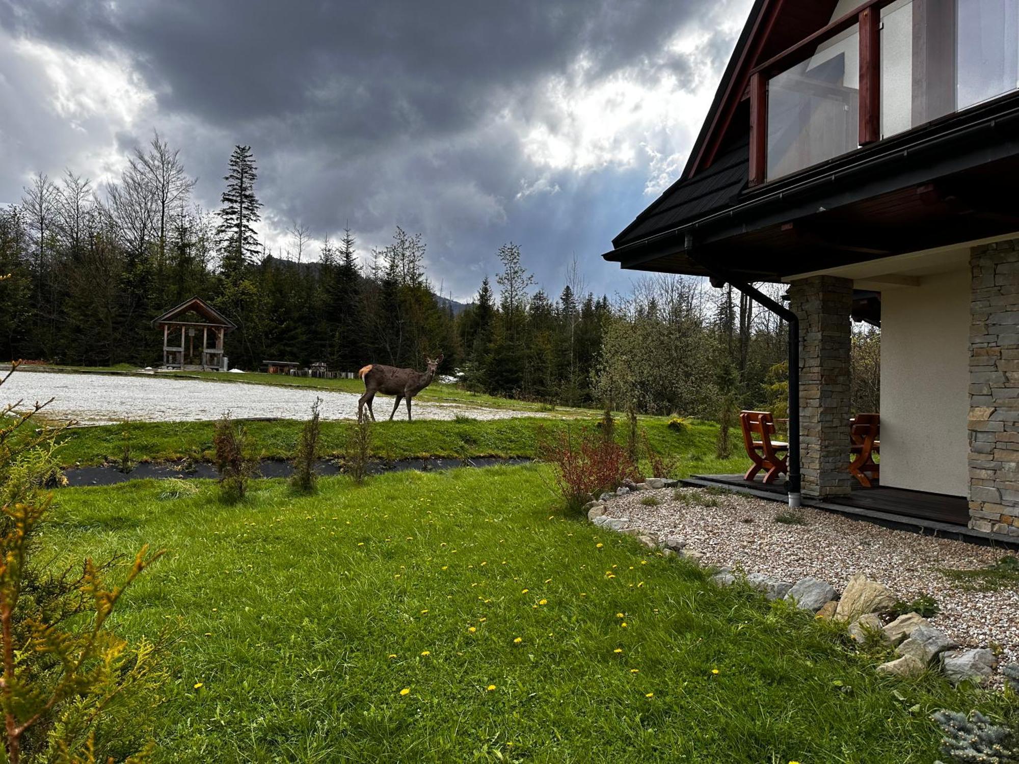 Apartamenty Willa Nika Zakopane Eksteriør billede